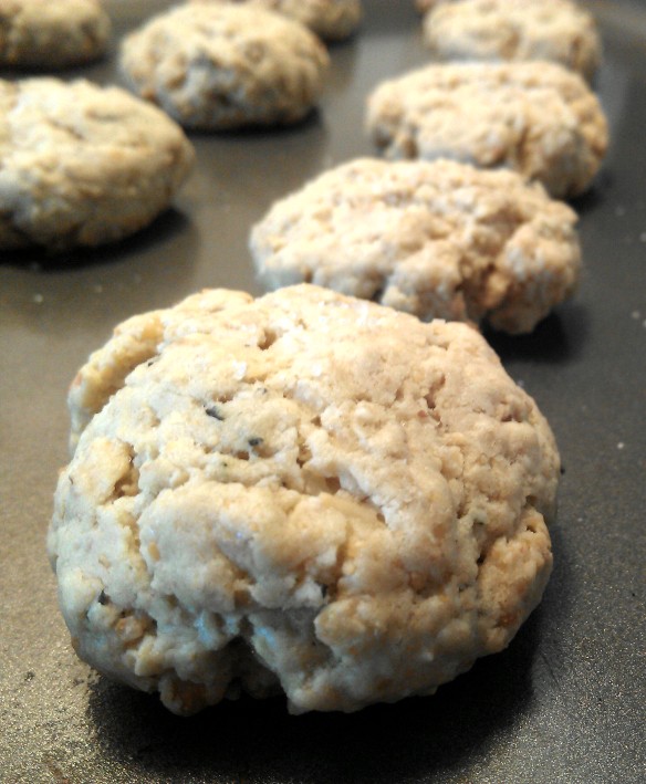 Savory Oatmeal Cookies | Arlington Darling